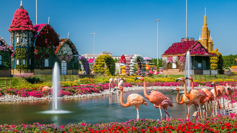 Dubai Miracle Garden