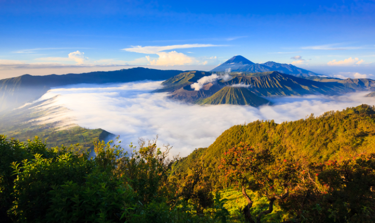 Java, Indonesia